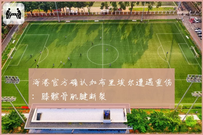 海港官方确认加布里埃尔遭遇重伤:膝髌骨肌腱断裂